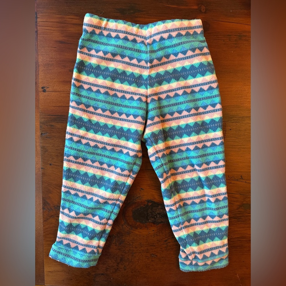 Patagonia micro d fleece pants